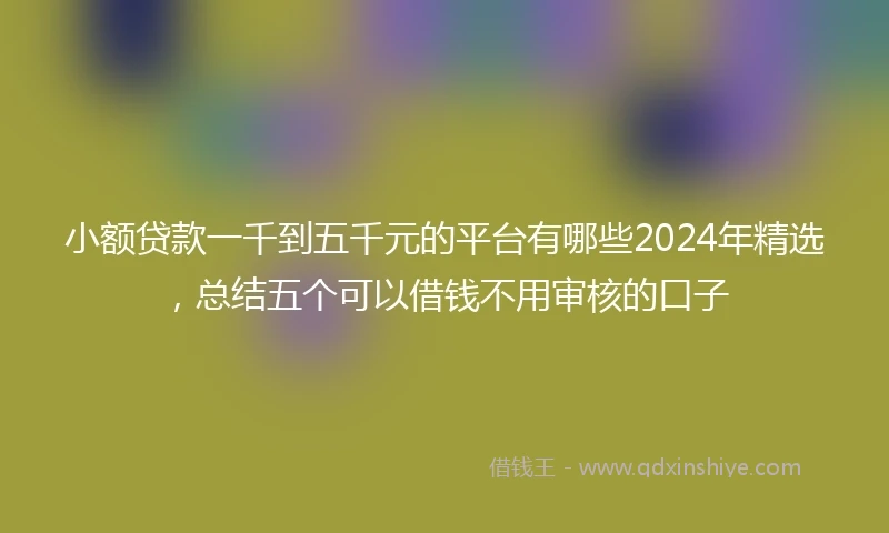 小额贷款一千到五千元的平台有哪些2024年精选，总结五个可以借钱不用审核的口子