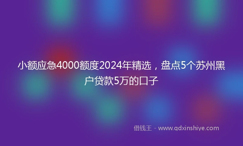小额应急4000额度2024年精选，盘点5个苏州黑户贷款5万的口子