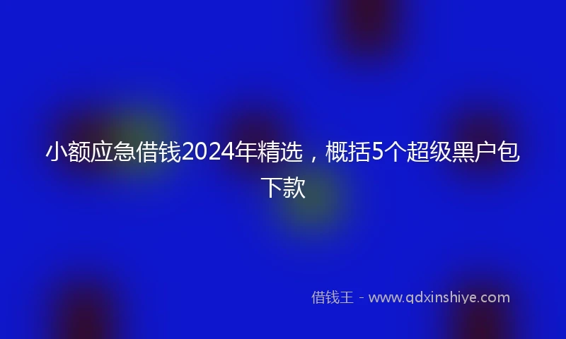 小额应急借钱2024年精选，概括5个超级黑户包下款