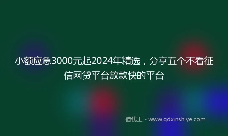 小额应急3000元起2024年精选，分享五个不看征信网贷平台放款快的平台