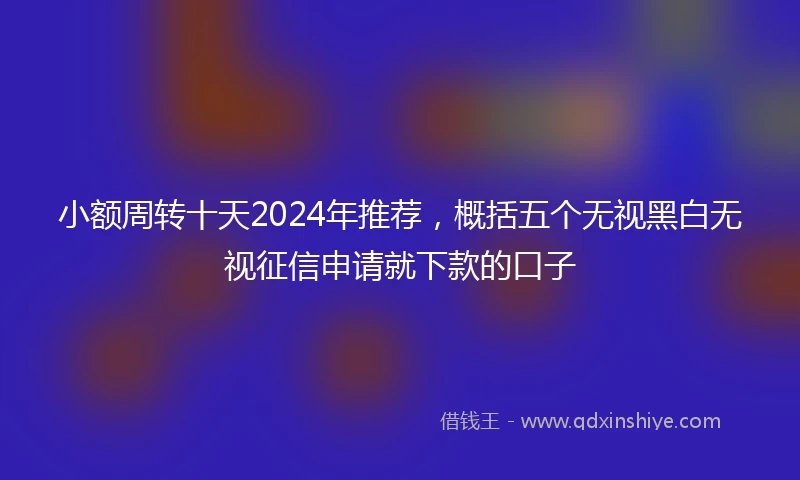 小额周转十天2024年推荐，概括五个无视黑白无视征信申请就下款的口子