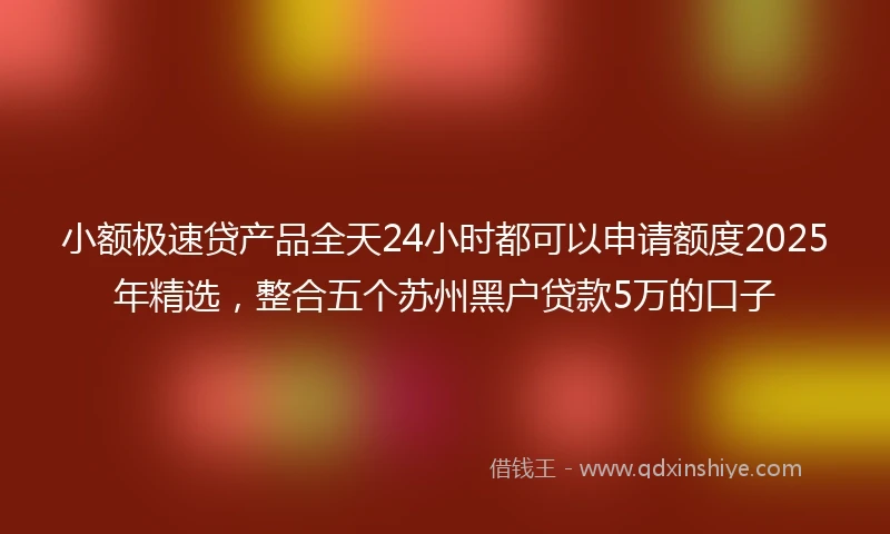 小额极速贷产品全天24小时都可以申请额度2025年精选，整合五个苏州黑户贷款5万的口子