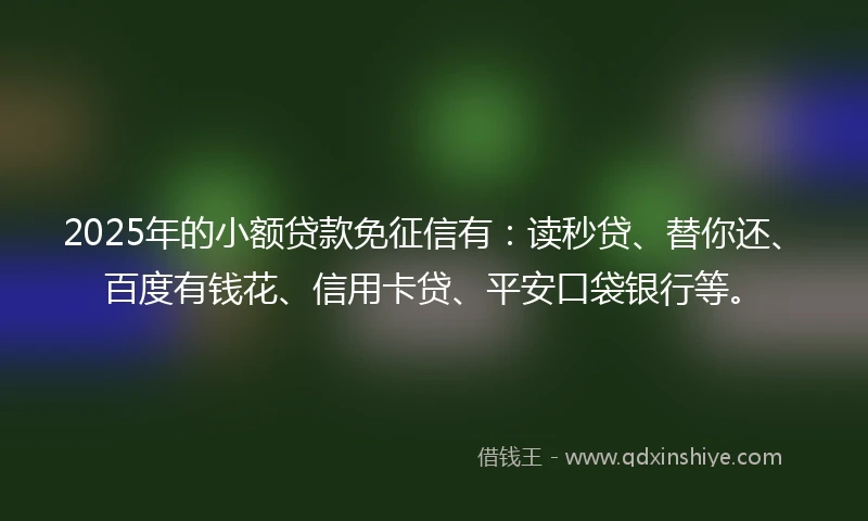 2025年的小额贷款免征信有：读秒贷、替你还、百度有钱花、信用卡贷、平安口袋银行等。
