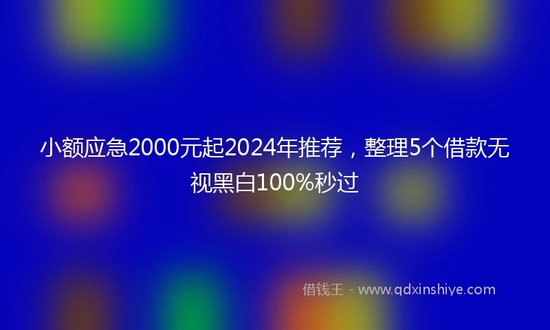 小额应急2000元起2024年推荐，整理5个借款无视黑白100%秒过