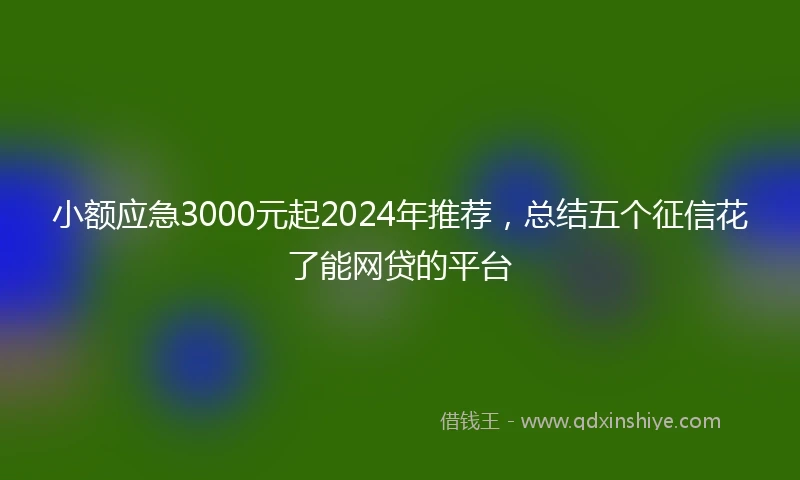小额应急3000元起2024年推荐，总结五个征信花了能网贷的平台