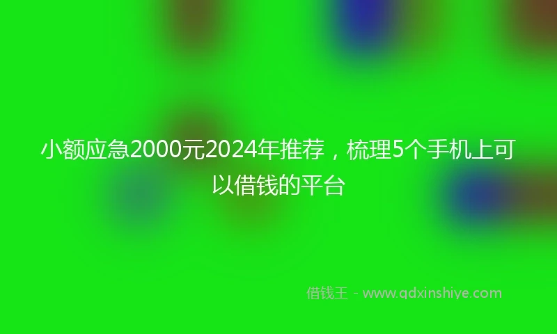 小额应急2000元2024年推荐，梳理5个手机上可以借钱的平台
