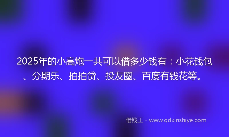 2025年的小高炮一共可以借多少钱有：小花钱包、分期乐、拍拍贷、投友圈、百度有钱花等。