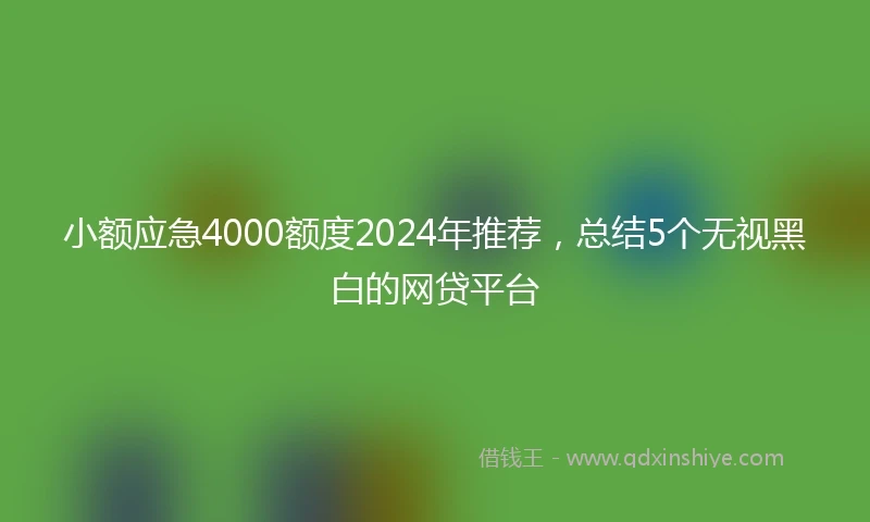小额应急4000额度2024年推荐，总结5个无视黑白的网贷平台