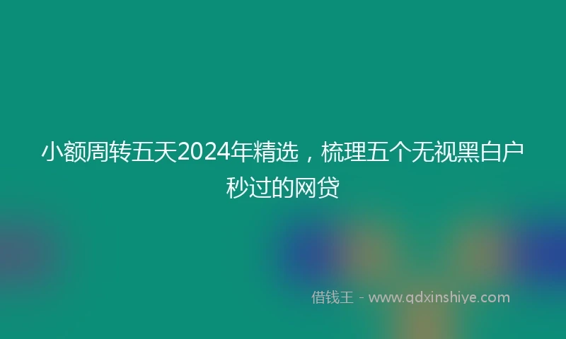 小额周转五天2024年精选，梳理五个无视黑白户秒过的网贷