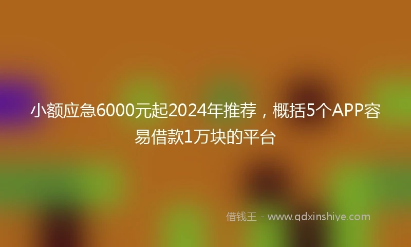 小额应急6000元起2024年推荐，概括5个APP容易借款1万块的平台