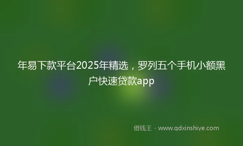 年易下款平台2025年精选，罗列五个手机小额黑户快速贷款app