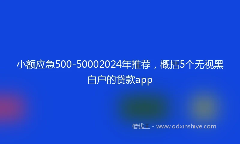 小额应急500-50002024年推荐，概括5个无视黑白户的贷款app