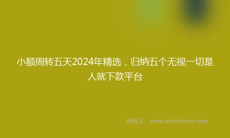 小额周转五天2024年精选，归纳五个无视一切是人就下款平台