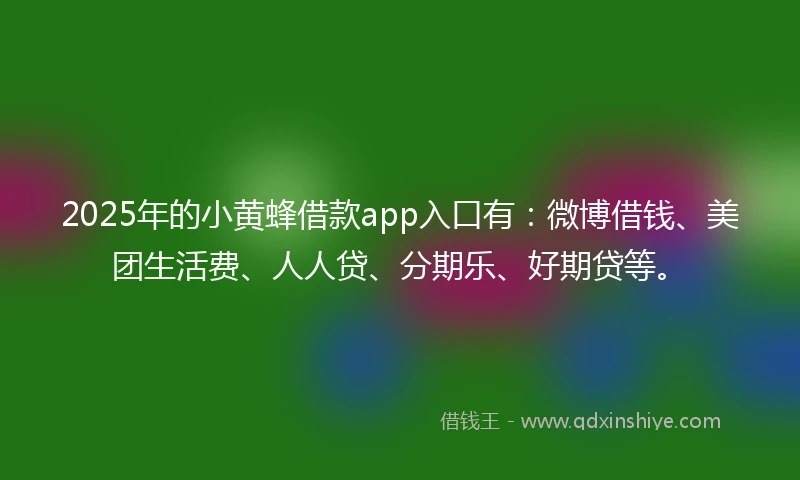 2025年的小黄蜂借款app入口有:微博借钱、美团生活费、人人贷、分期乐、好期贷等。