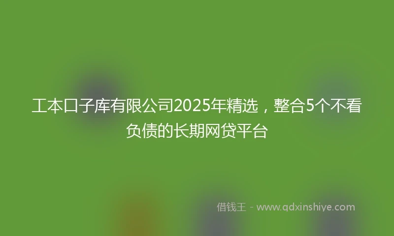 工本口子库有限公司2025年精选，整合5个不看负债的长期网贷平台