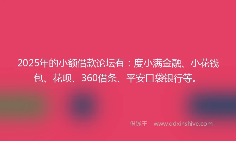 2025年的小额借款论坛有：度小满金融、小花钱包、花呗、360借条、平安口袋银行等。