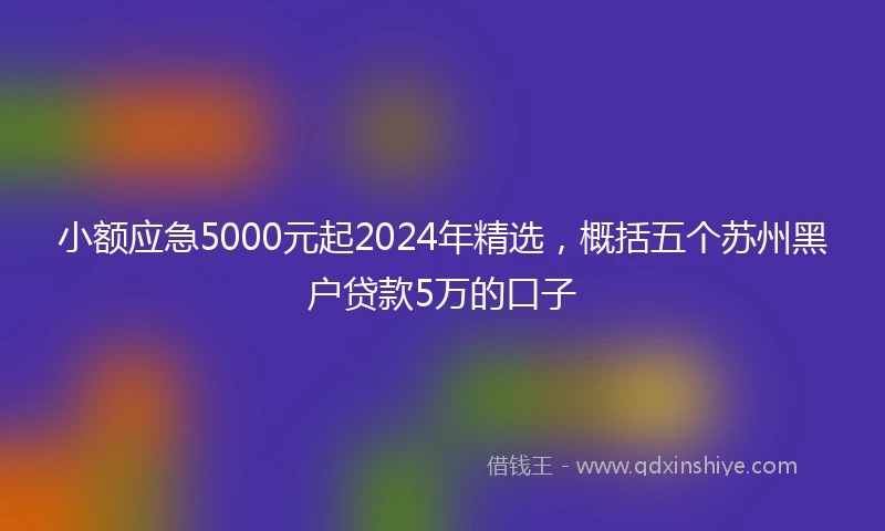 小额应急5000元起2024年精选，概括五个苏州黑户贷款5万的口子