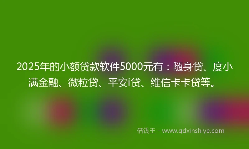 2025年的小额贷款软件5000元有：随身贷、度小满金融、微粒贷、平安i贷、维信卡卡贷等。