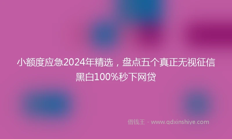 小额度应急2024年精选，盘点五个真正无视征信黑白100%秒下网贷