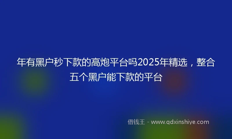 年有黑户秒下款的高炮平台吗2025年精选，整合五个黑户能下款的平台
