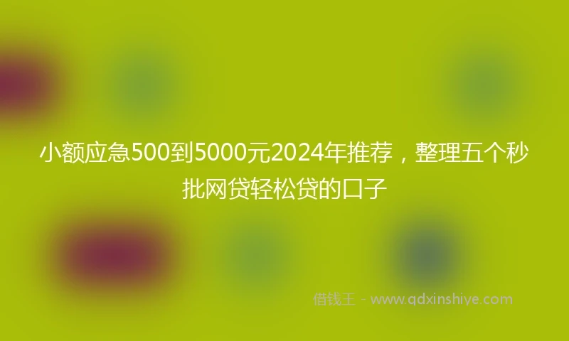 小额应急500到5000元2024年推荐，整理五个秒批网贷轻松贷的口子