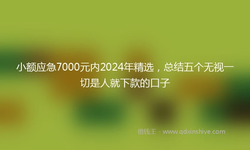 小额应急7000元内2024年精选，总结五个无视一切是人就下款的口子