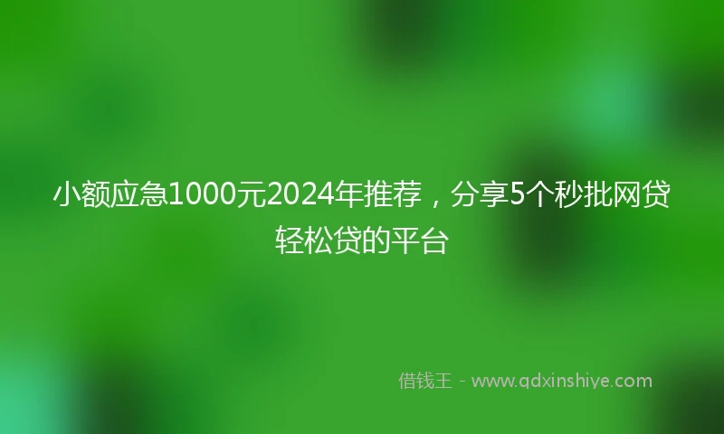 小额应急1000元2024年推荐，分享5个秒批网贷轻松贷的平台