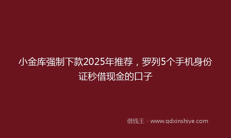小金库强制下款2025年推荐，罗列5个手机身份证秒借现金的口子