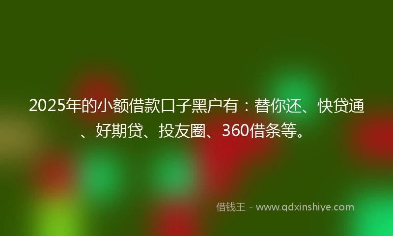 2025年的小额借款口子黑户有：替你还、快贷通、好期贷、投友圈、360借条等。