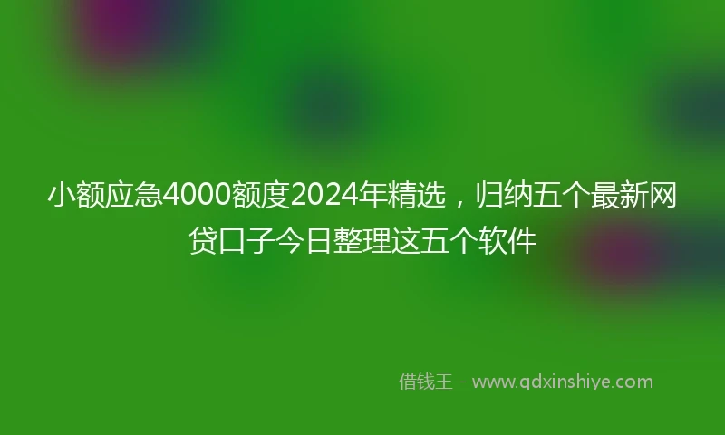 小额应急4000额度2024年精选，归纳五个最新网贷口子今日整理这五个软件