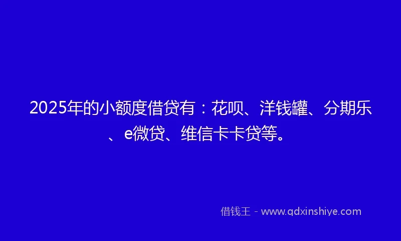 2025年的小额度借贷有：花呗、洋钱罐、分期乐、e微贷、维信卡卡贷等。