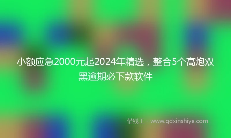 小额应急2000元起2024年精选，整合5个高炮双黑逾期必下款软件