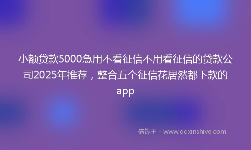 小额贷款5000急用不看征信不用看征信的贷款公司2025年推荐，整合五个征信花居然都下款的app