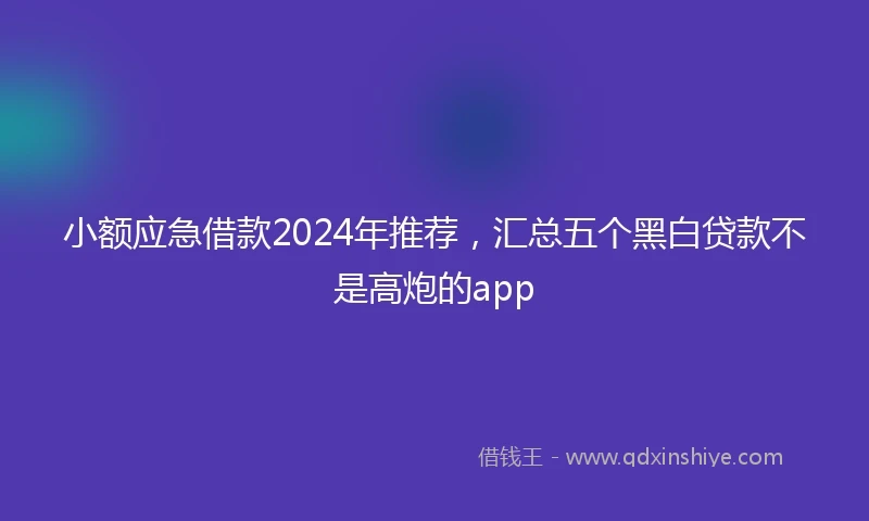 小额应急借款2024年推荐，汇总五个黑白贷款不是高炮的app