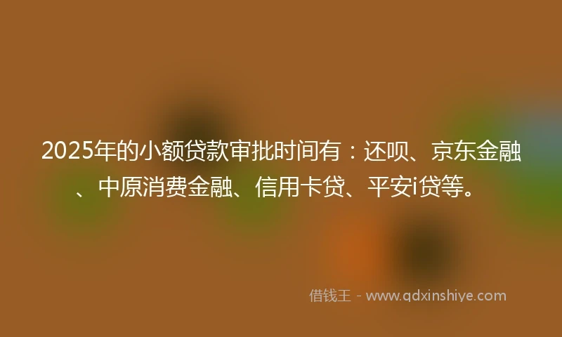 2025年的小额贷款审批时间有：还呗、京东金融、中原消费金融、信用卡贷、平安i贷等。