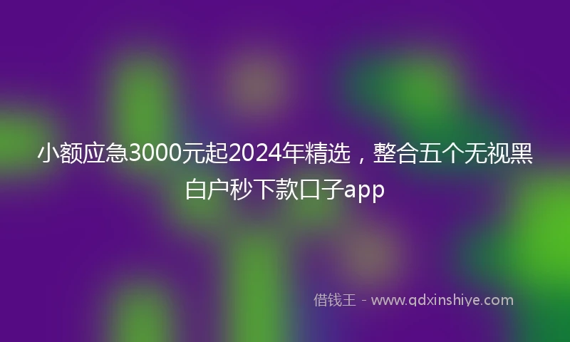 小额应急3000元起2024年精选，整合五个无视黑白户秒下款口子app