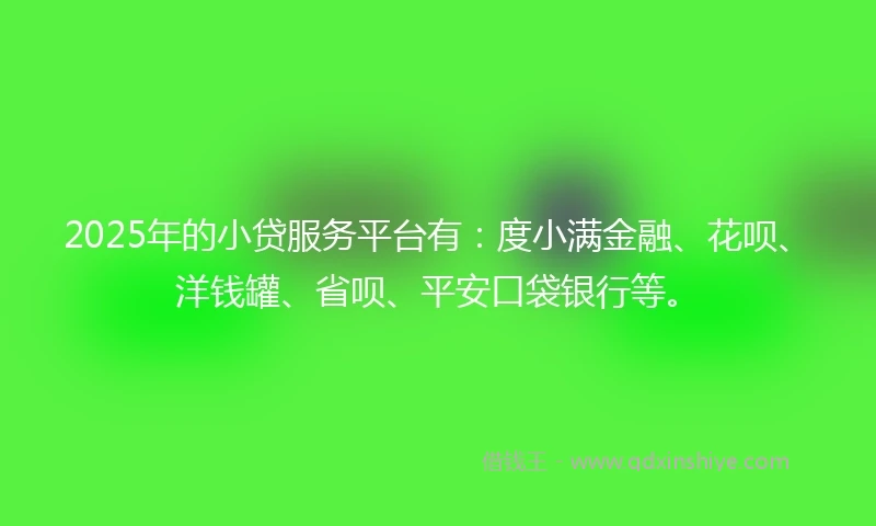 2025年的小贷服务平台有：度小满金融、花呗、洋钱罐、省呗、平安口袋银行等。