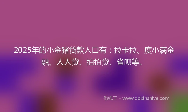 2025年的小金猪贷款入口有：拉卡拉、度小满金融、人人贷、拍拍贷、省呗等。