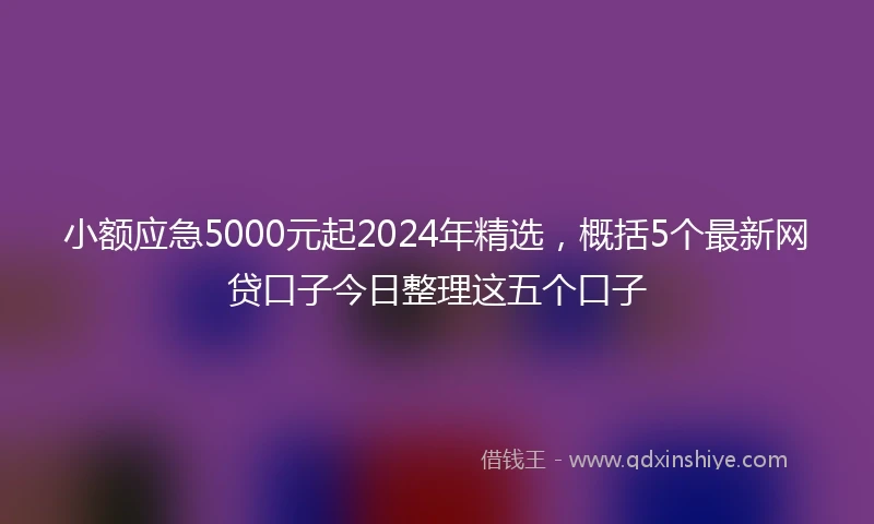 小额应急5000元起2024年精选，概括5个最新网贷口子今日整理这五个口子