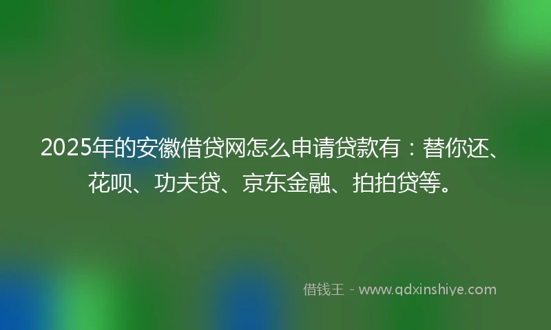 2025年的安徽借贷网怎么申请贷款有：替你还、花呗、功夫贷、京东金融、拍拍贷等。