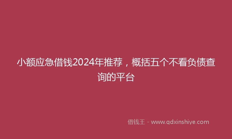 小额应急借钱2024年推荐，概括五个不看负债查询的平台