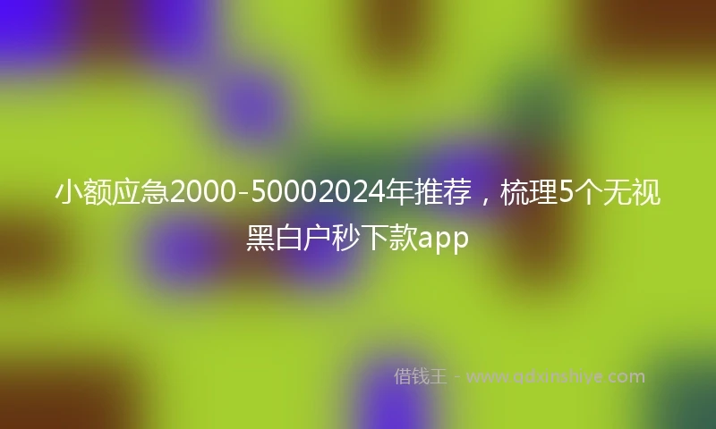 小额应急2000-50002024年推荐，梳理5个无视黑白户秒下款app
