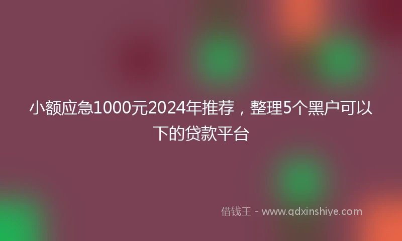 小额应急1000元2024年推荐，整理5个黑户可以下的贷款平台