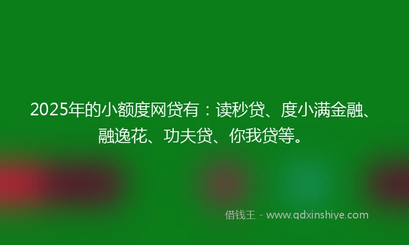 2025年的小额度网贷有：读秒贷、度小满金融、融逸花、功夫贷、你我贷等。