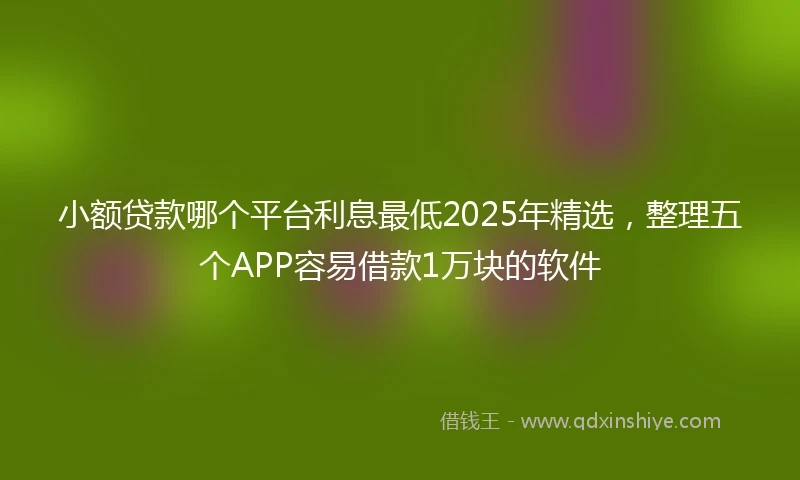 小额贷款哪个平台利息最低2025年精选，整理五个APP容易借款1万块的软件