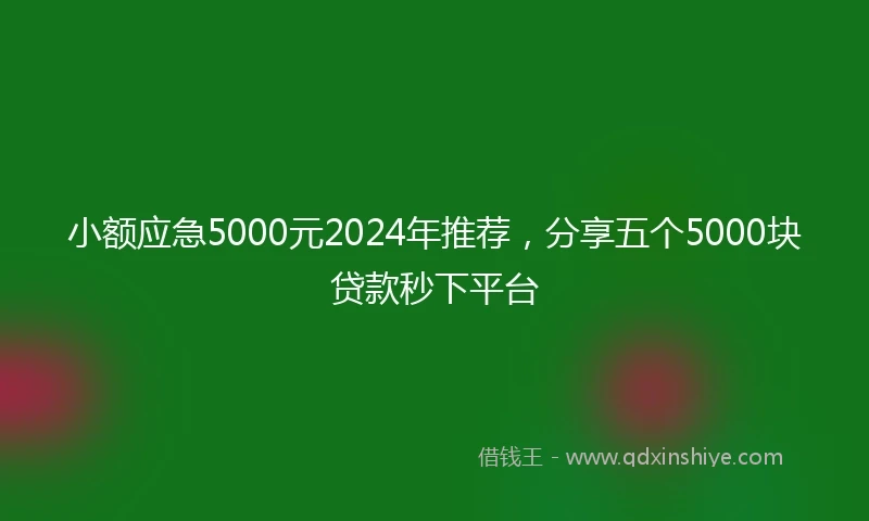 小额应急5000元2024年推荐，分享五个5000块贷款秒下平台