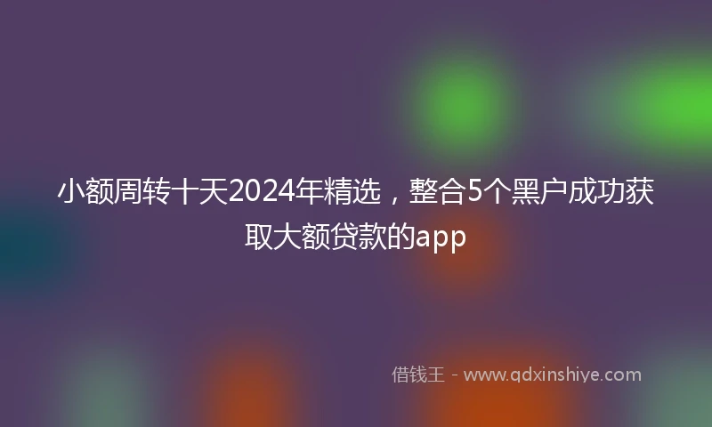 小额周转十天2024年精选，整合5个黑户成功获取大额贷款的app