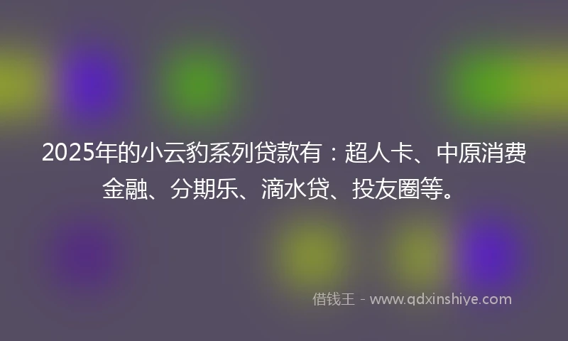 2025年的小云豹系列贷款有：超人卡、中原消费金融、分期乐、滴水贷、投友圈等。