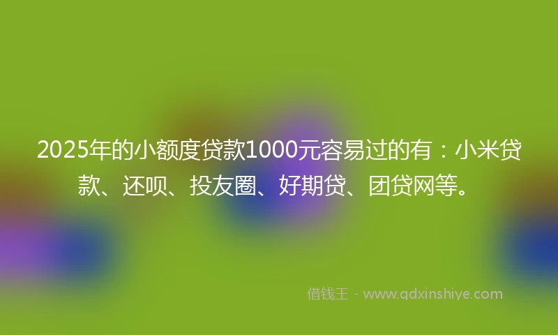 2025年的小额度贷款1000元容易过的有：小米贷款、还呗、投友圈、好期贷、团贷网等。