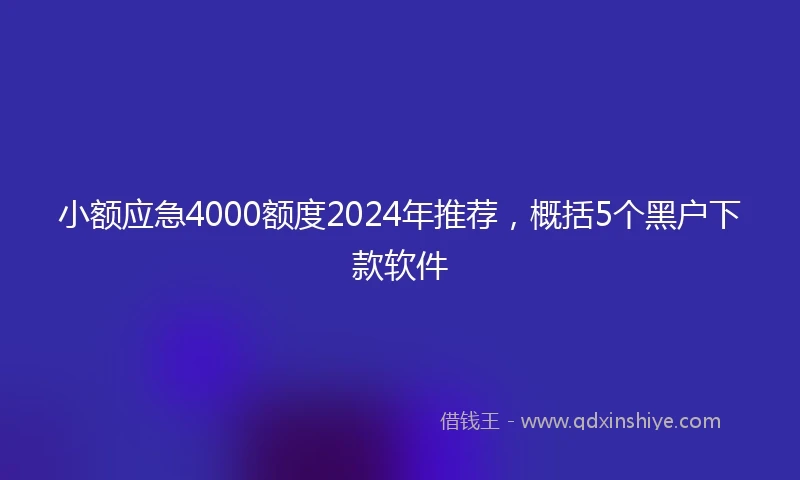 小额应急4000额度2024年推荐，概括5个黑户下款软件